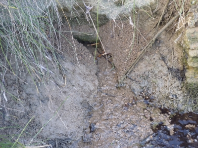 Balsas del Puente del Río I - imagen 5
