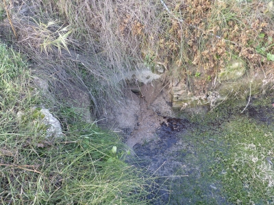 Balsas del Puente del Río I - imagen 6