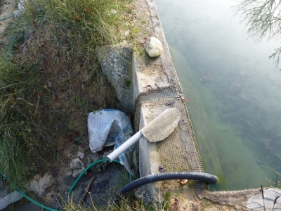 Balsas del Puente del Río III - imagen 3