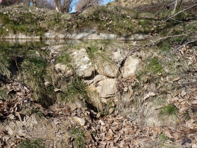 Fuente de la Cabezuela - imagen 2