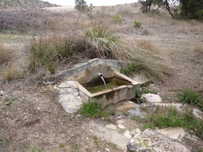 Fuente de la Casa del Monte I - imagen 1