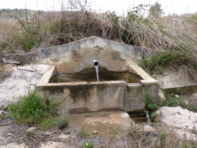 Fuente de la Casa del Monte I - imagen 2
