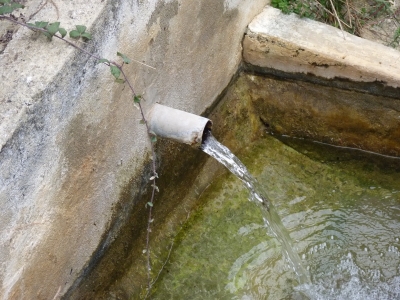Fuente de la Casa del Monte I - imagen 3