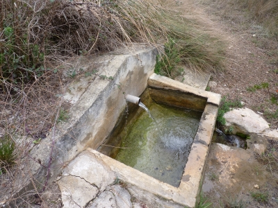 Fuente de la Casa del Monte I - imagen 4