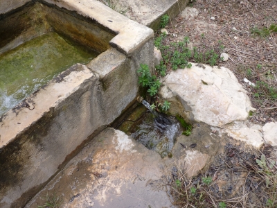 Fuente de la Casa del Monte I - imagen 5