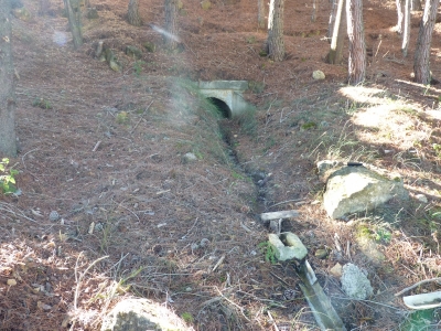 Fuente las Covatillas - imagen 1