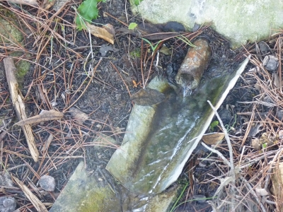 Fuente las Covatillas - imagen 2