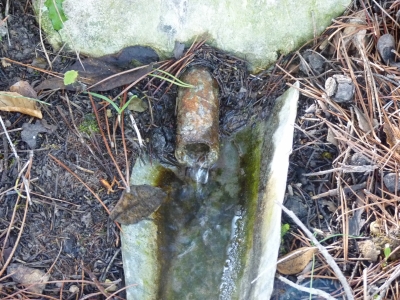 Fuente las Covatillas - imagen 3