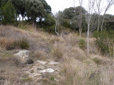 Fuente de los Hortizuelos - imagen 4
