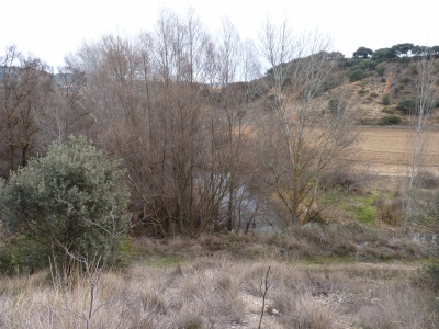 Fuente de los Hortizuelos - imagen 5