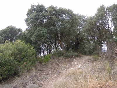 Fuente de los Hortizuelos - imagen 9