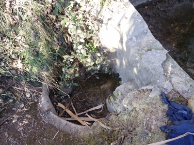 Fuente de la Huerta Cardo I - imagen 1