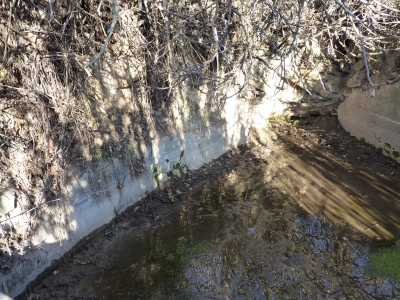 Fuente de la Huerta Cardo I - imagen 2