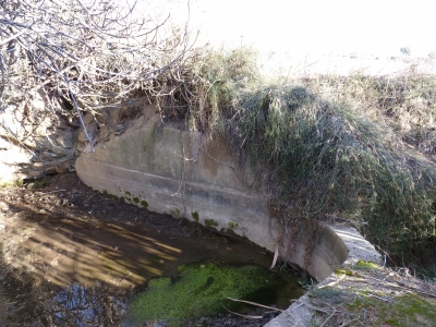 Fuente de la Huerta Cardo I - imagen 3