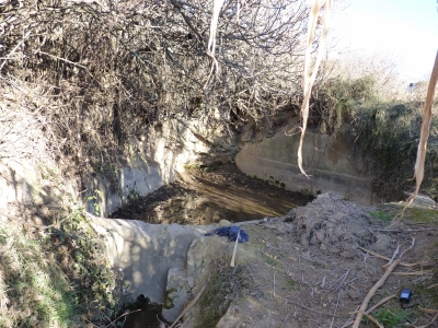 Fuente de la Huerta Cardo I - imagen 4