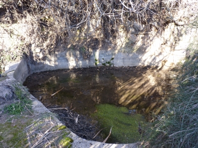 Fuente de la Huerta Cardo I - imagen 6