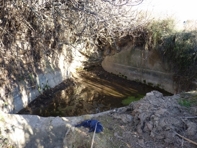 Fuente de la Huerta Cardo I - imagen 7