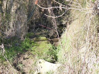 Fuente de la Huerta Cardo II - imagen 1