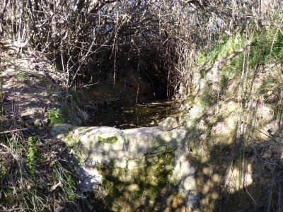 Fuente de la Huerta Cardo II - imagen 2