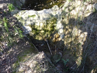 Fuente de la Huerta Cardo II - imagen 3