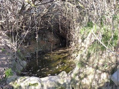 Fuente de la Huerta Cardo II - imagen 4