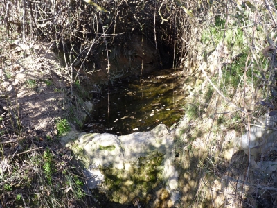Fuente de la Huerta Cardo II - imagen 5