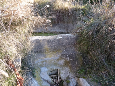 Fuente de la Huerta Conejo - imagen 1