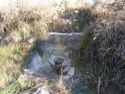 Fuente de la Huerta Conejo - imagen 4