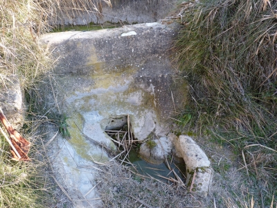 Fuente de la Huerta Conejo - imagen 5