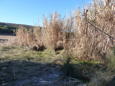 Fuente de la Huerta Conejo - imagen 7