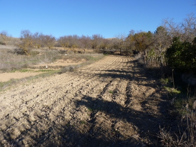 Fuente de la Huerta Conejo - imagen 8