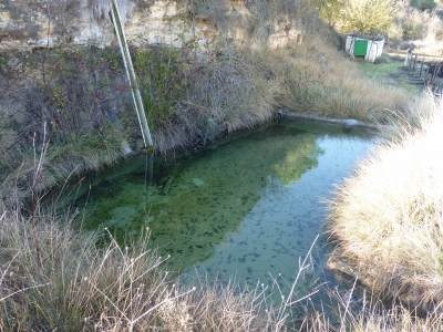 Fuente de la Huerta de la Rama - imagen 7