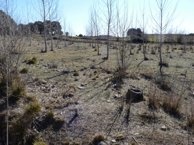 Fuente de la Huerta de las Hontecillas - imagen 8