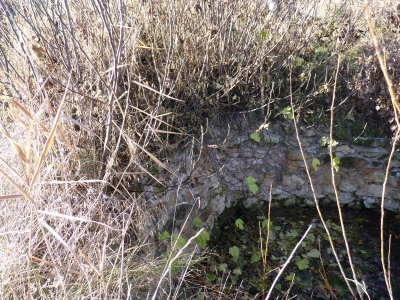 Fuente de la Huerta de Peca - imagen 1