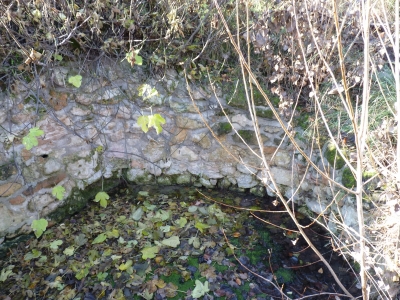 Fuente de la Huerta de Peca - imagen 2
