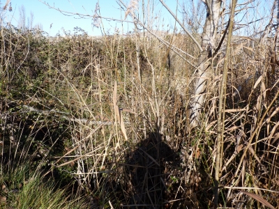 Fuente de la Huerta de Peca - imagen 3
