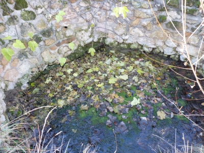 Fuente de la Huerta de Peca - imagen 5