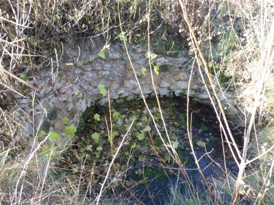 Fuente de la Huerta de Peca - imagen 6