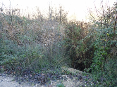 Fuente de la Huerta Santo Cristo - imagen 1
