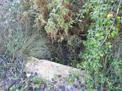 Fuente de la Huerta Santo Cristo - imagen 2