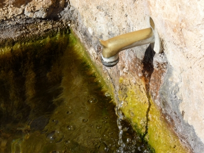 Fuente de la Lobera - imagen 5