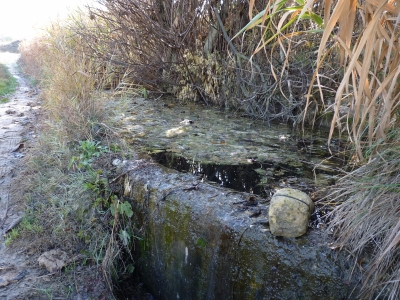 Manantial del Pasillo - imagen 1
