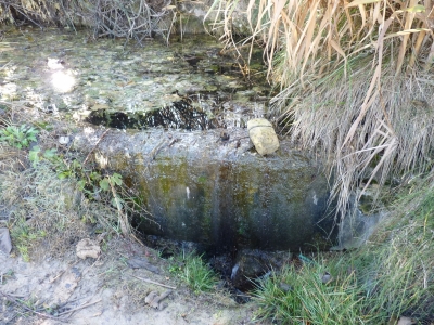 Manantial del Pasillo - imagen 2