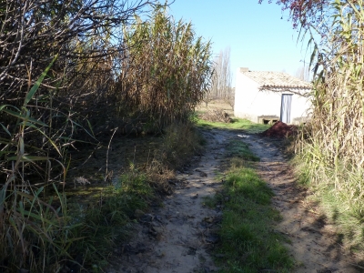 Manantial del Pasillo - imagen 5