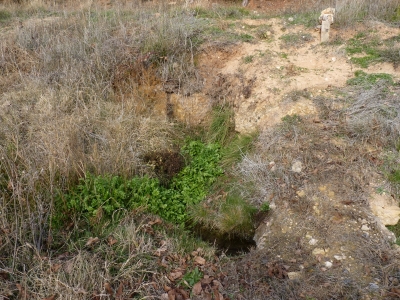 Fuente Ordoño - imagen 1