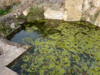 Fuente Ordoño - imagen 3