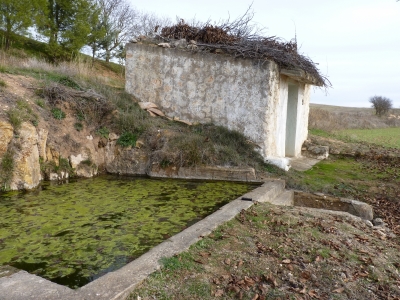 Fuente Ordoño - imagen 4