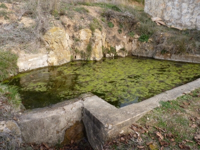 Fuente Ordoño - imagen 5