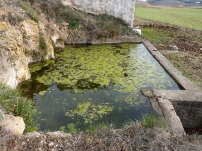 Fuente Ordoño - imagen 6