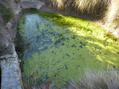Fuente del Puerco - imagen 1